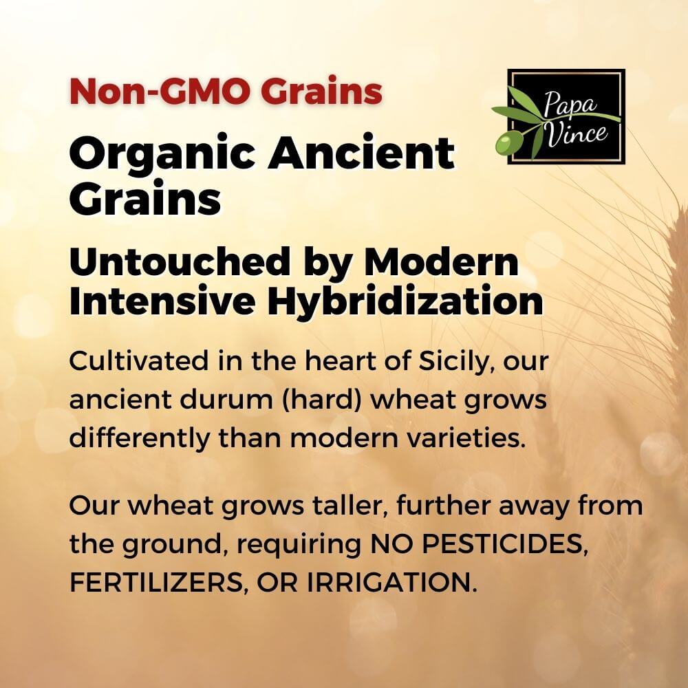 6-low-gi-pasta-tagliatelle-whole-wheat-non-gmo-organic-non-enriched-ancient-grain-made-in-italy-untouched-by-modern-intensive-hybridization-papa-vince