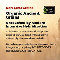 Thumbnail for 6-low-gi-pasta-tagliatelle-whole-wheat-non-gmo-organic-non-enriched-ancient-grain-made-in-italy-untouched-by-modern-intensive-hybridization-papa-vince
