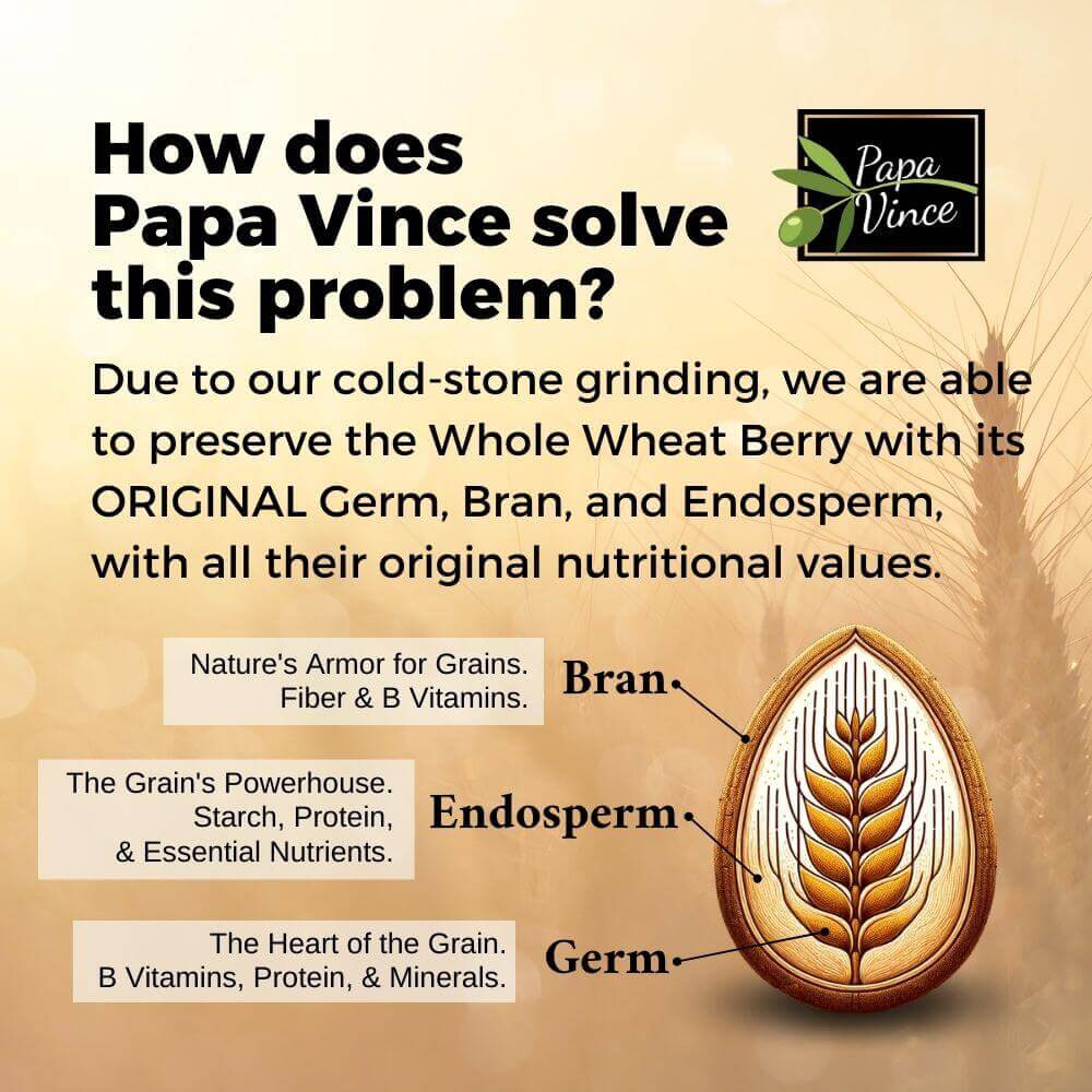 Organic Italian Heirloom Pasta Rigatoni Whole Wheat, Non-GMO, Organic, Non-Enriched, Ancient Grain, Made in Italy, Original Wheatgerm, Endosperm, Bran Papa Vince