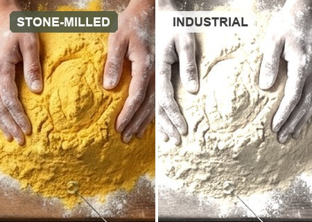 A split comparison: golden whole stone-milled einkorn flour beside pale, refined industrial flour