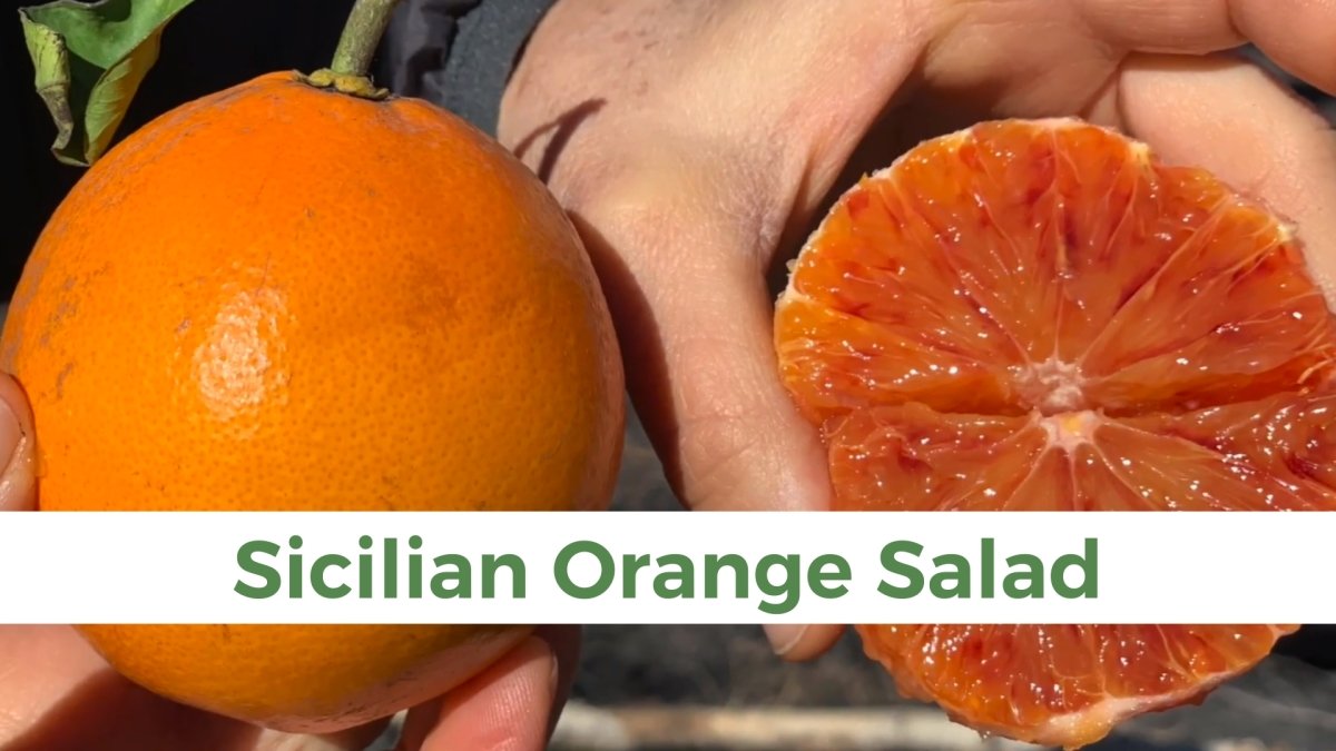 Sicilian Orange Salad - Papa Vince