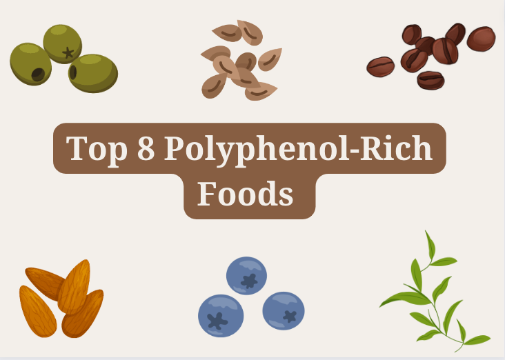 Top 8 Polyphenol-Rich foods