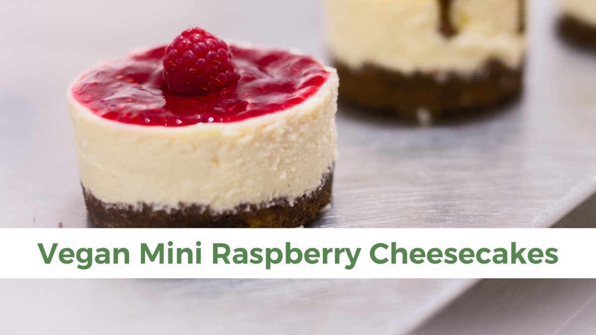 Vegan Mini Raspberry Cheezecakes - Papa Vince