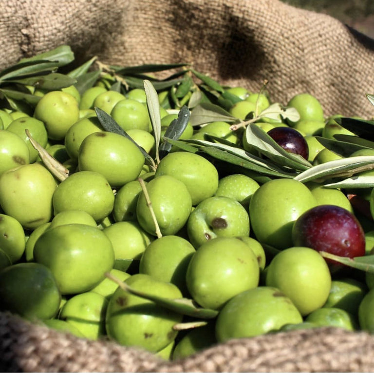 Why it's best to shop at an olive oil store Papa Vince