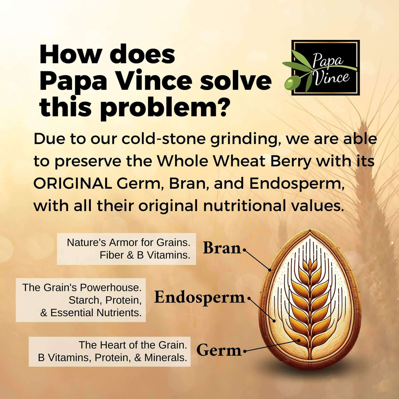 How does Papa Vince preserve nutrients? Stone Grinding Pasta. Due to our cold-stone grinding, we are able to preserve the Whole Wheat Berry with its ORIGINAL Germ, Bran, and Endosperm, with all their original nutritional values.