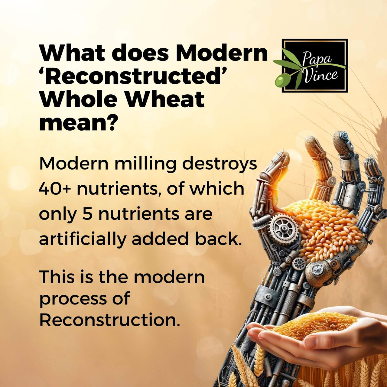 Modern milling destroys over 40 nutrients, with only 5 artificially added back. Papa Vince preserves whole wheat’s natural nutrition through traditional stone grinding.