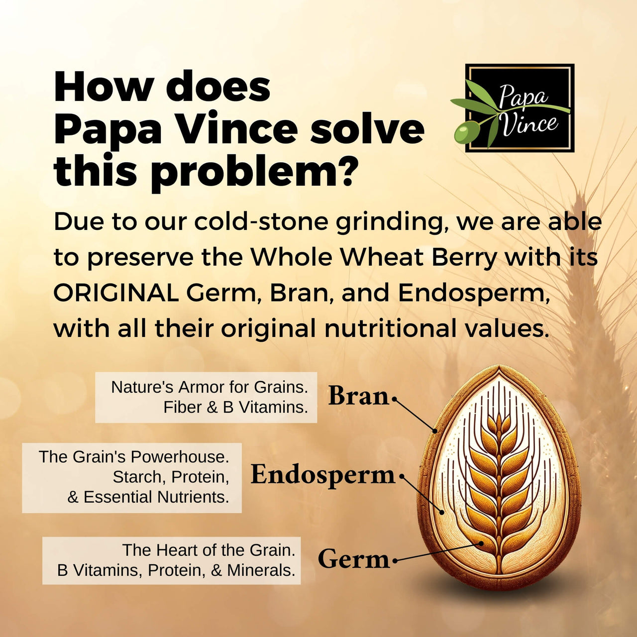 Whole wheat cold stone grinding pasta, non gmo, non enriched, no folic acid, low gluten ancient grains, sicily Italy, artisanal unrefined, minimally processed, Papa Vince