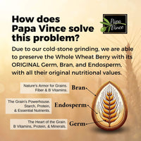 Thumbnail for Papa Vince preserves whole wheat’s original germ, bran, and endosperm with cold-stone grinding, ensuring all-natural fiber, B vitamins, and essential nutrients remain intact.