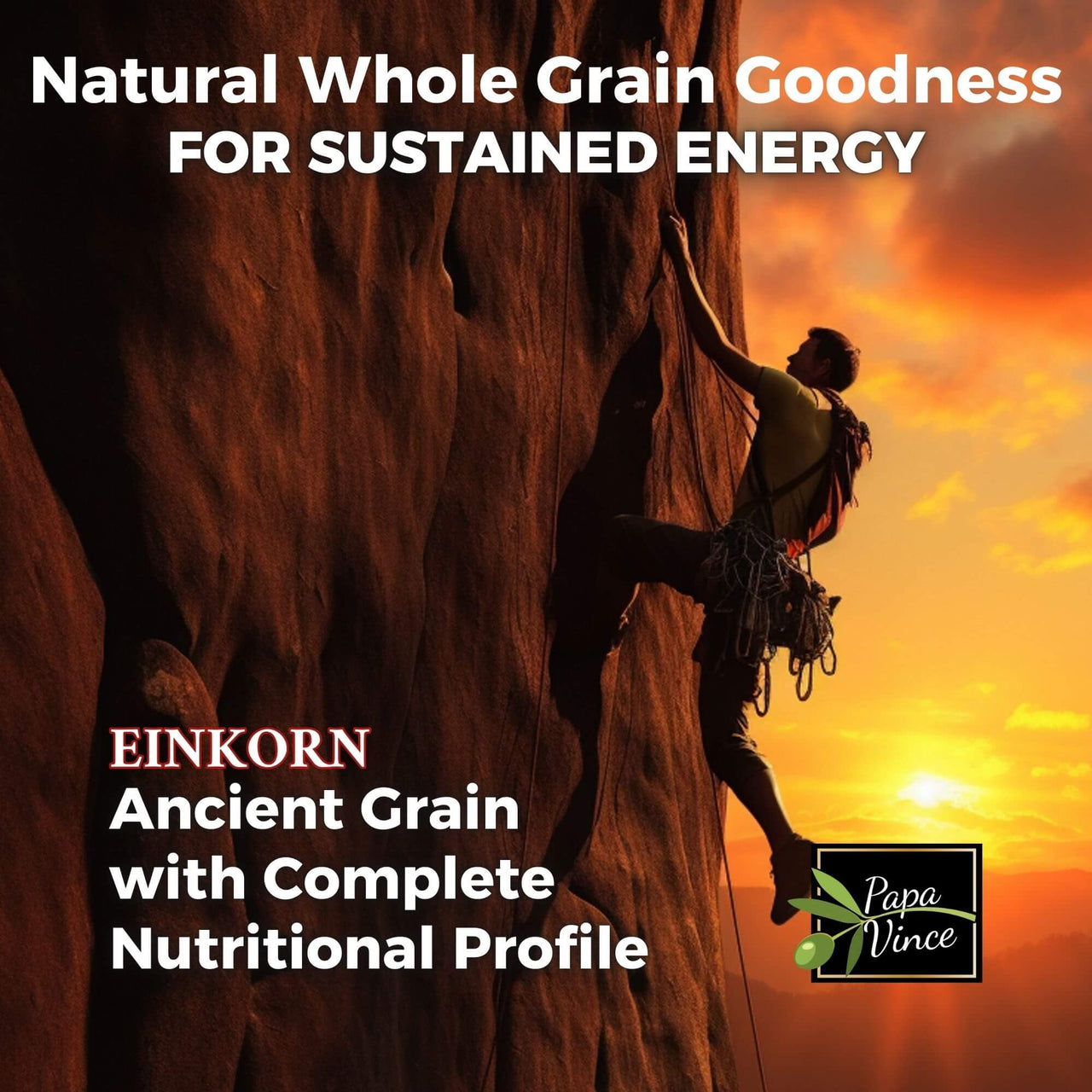 Einkorn ancient grain provides whole grain goodness for sustained energy, offering a complete nutritional profile.