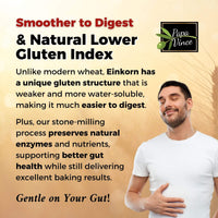 Thumbnail for Einkorn flour has a naturally low gluten index, making it easier to digest and supporting gut health.