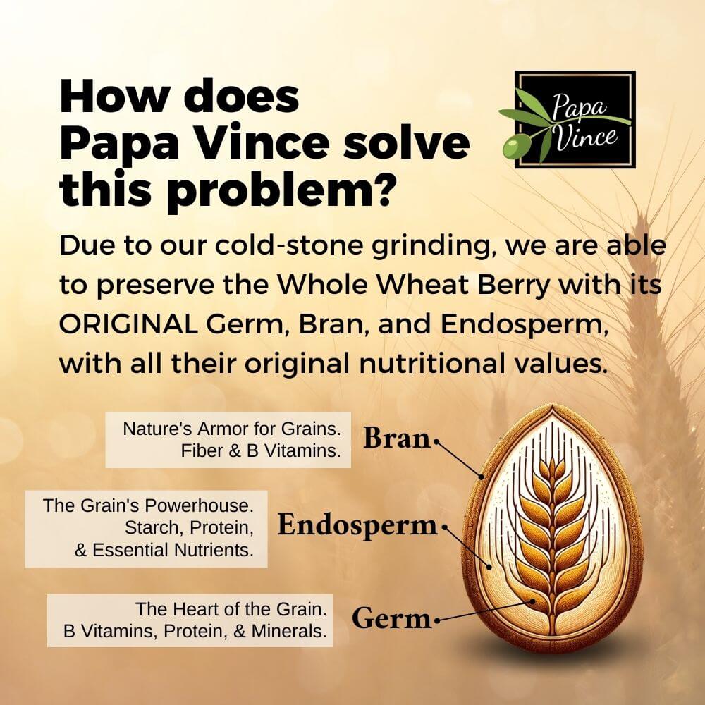 Low GI Pasta Tagliatelle Whole Wheat, Non-GMO, Organic, Non-Enriched, Ancient Grain, Made in Italy, Original Wheatgerm, Endosperm, Bran Papa Vince