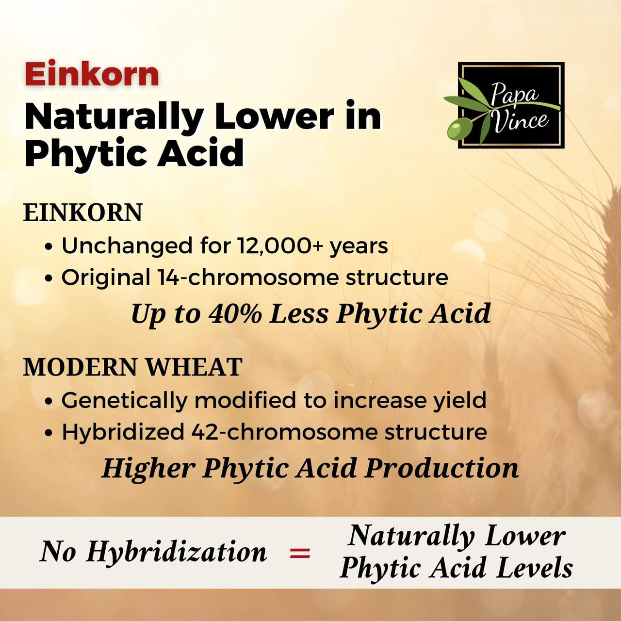 Einkorn flour naturally lower in phytic acid, preserving essential minerals like iron, zinc, and magnesium.